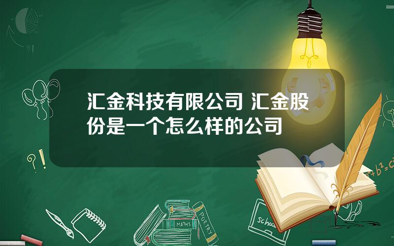 汇金科技有限公司 汇金股份是一个怎么样的公司